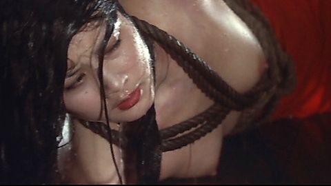 Pic: Hitomi Kozue in Naked Rashomon (1972)