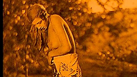 Pic: Josephine Baker in Siren of the Tropics (1927)