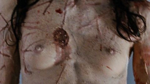 Pic: Emilie Miskdjian in Martyrs (2008)