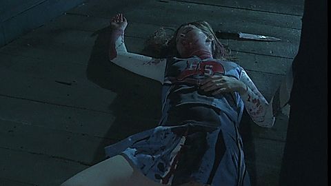 Pic: Cherilyn Wilson in Parasomnia (2008)