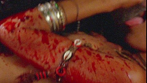Pic: Nara Sakarê in Embodiment of Evil (2008)