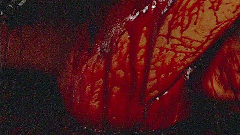 Pic: Nara Sakarê in Embodiment of Evil (2008)