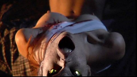 Pic: Vanessa James in Dark Rising (2007)