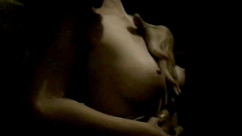 Pic: Roxy Vandiver in Witchcraft 13: Blood of the Chosen (2008)