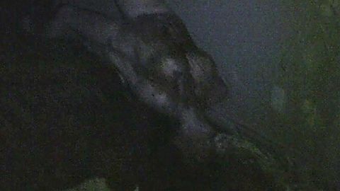 Pic: Erin Marie Hogan in Paranormal Entity (2009)