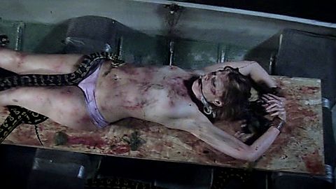 Pic: Holly Ilyne Sari in Satanic Panic (2009)