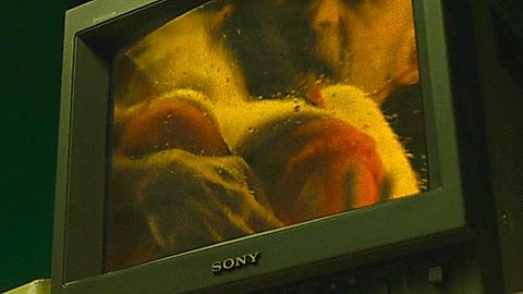 Pic: Rachel Berger in Micmacs (2009)