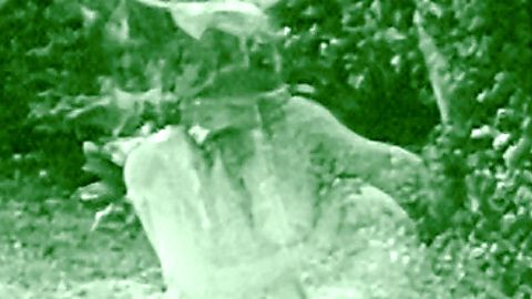 Pic: Margaret Edwards in Hypocrites (1915)