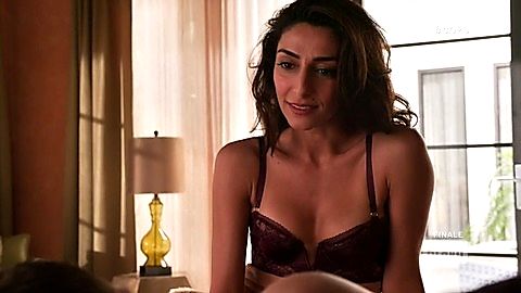 Pic: Necar Zadegan in Girlfriends' Guide to Divorce (2014)