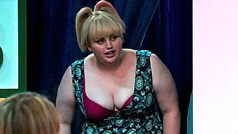 Pic: Rebel Wilson in What to Expect When You're Expecting (2012)
