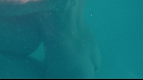 Pic: Vanessa Hudgens in Spring Breakers (2013)