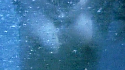 Pic: Maria Lamor in Star Knight (1985)