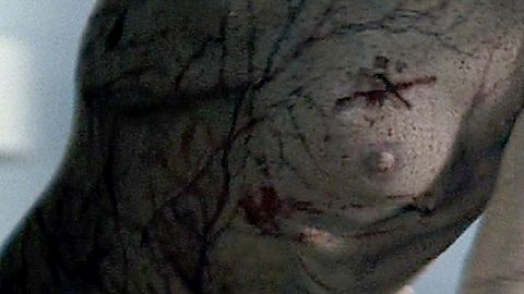 Pic: Isabelle Chasse in Martyrs (2008)