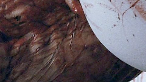 Pic: Isabelle Chasse in Martyrs (2008)