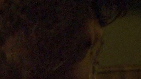 Pic: Anaïs Demoustier in All About Them (2015)