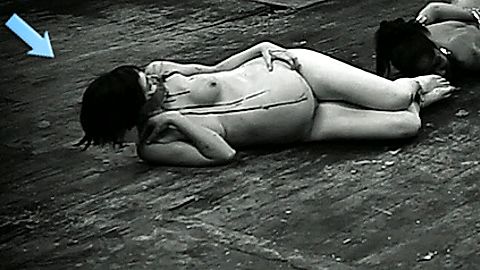 Pic: Katherine Templar in The Human Centipede II (2011)