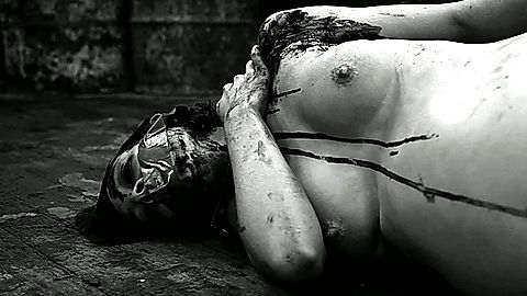 Pic: Katherine Templar in The Human Centipede II (2011)