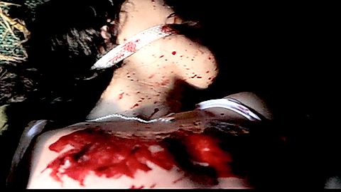Pic: Vicky Araico in Zombie Diaries 2 (2011)
