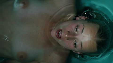 Pic: Karine Vanasse in Switch (2011)
