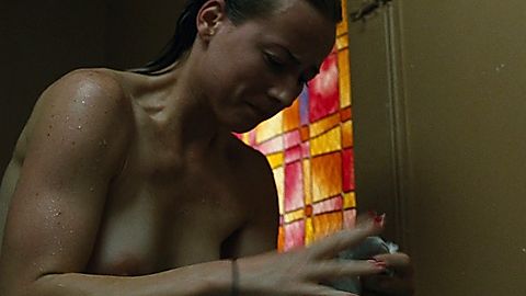 Pic: Karine Vanasse in Switch (2011)