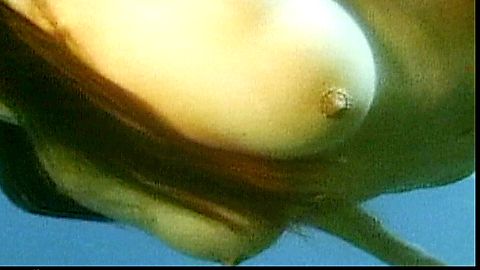 Pic: Gina Allen in Australia After Dark (1975)