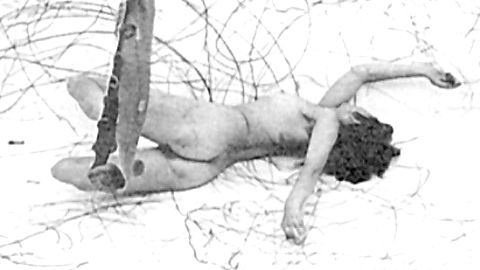 Pic: Carolee Schneemann in !Women Art Revolution (2010)