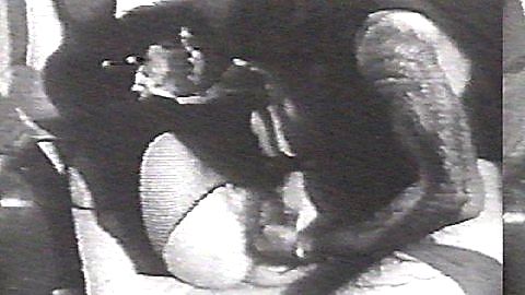 Pic: Lydia Lunch in Fingered (1986)