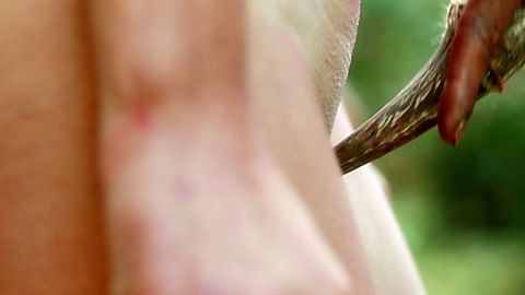 Pic: Kirby Bliss Blanton in The Green Inferno (2013)