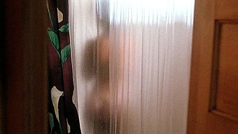 Pic: Ellie Cornell in Halloween 5 (1989)