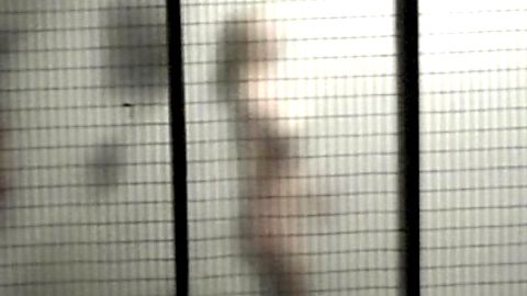 Pic: Rebecca Whitehurst in Dark Feed (2013)