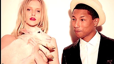 Pic: Elle Evans in Blurred Lines (2013)