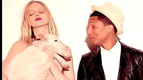 Pic: Elle Evans in Blurred Lines (2013)