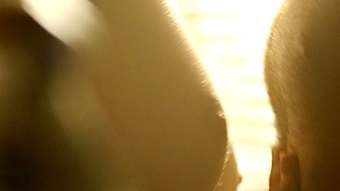 Pic: Nicolene Botha in Strike Back (2010)