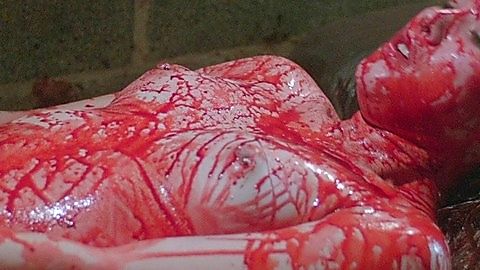 Pic: Kelsey Lehman in Return to Nuke 'Em High Volume 1 (2013)