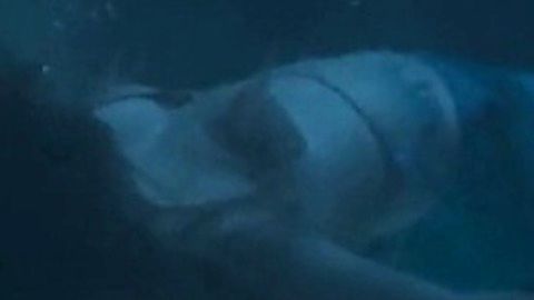 Pic: Christel Edwards in SAGA: Curse of the Shadow (2013)