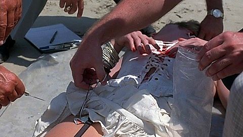 Pic: Lisa Hart Carroll in Night Game (1989)