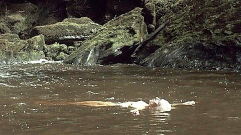Pic: Olwen Fouéré in The Survivalist (2015)