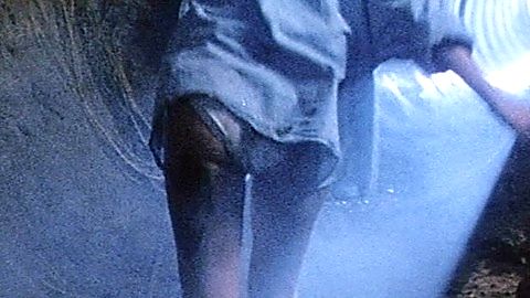 Pic: Jill Schoelen in Curse II: The Bite (1989)
