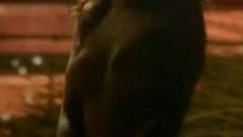 Pic: Jade Tailor in The Magicians (2015)