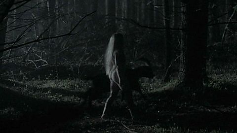 Pic: Anya Taylor-Joy in The Witch (2016)