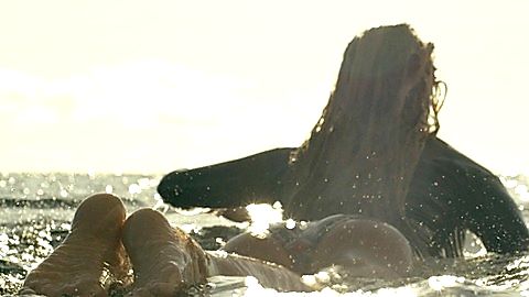 Pic: Blake Lively in The Shallows (2016)