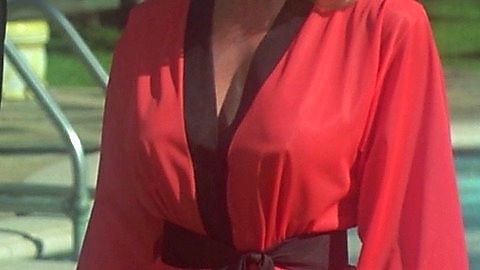 Pic: Loni Anderson in The Incredible Hulk (1977)