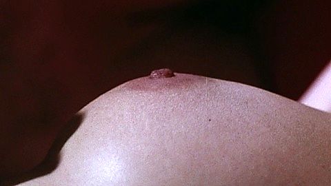 Pic: Marianne Graf in Sexy Sisters (1977)