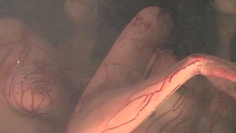 Pic: Niki Edwards in Creature Feature (2015)