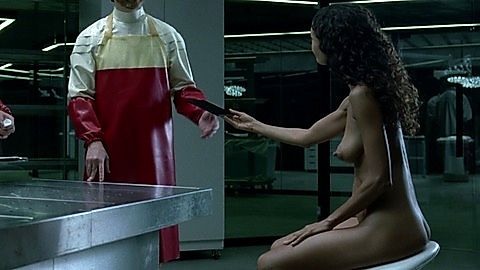 Pic: Thandiwe Newton in Westworld (2016)