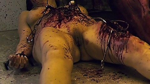 Pic: Vinylistic B. Babe in The Curse of Doctor Wolffenstein (2015)