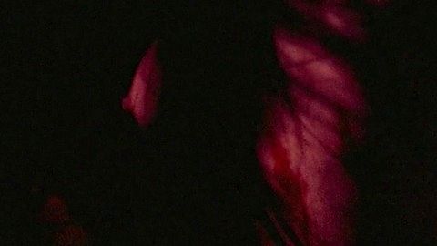 Pic: Linda Chu in Human Lanterns (1982)