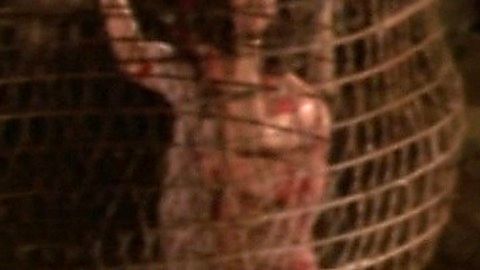 Pic: Hsiu-Chun Lin in Human Lanterns (1982)