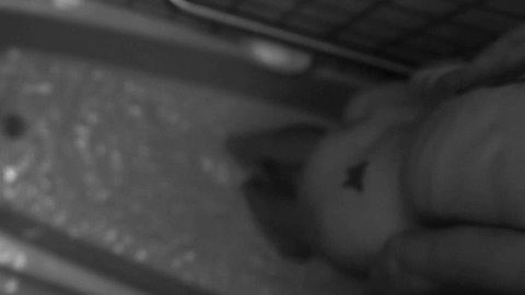 Pic: Jessica Sonneborn in Never Open the Door (2014)