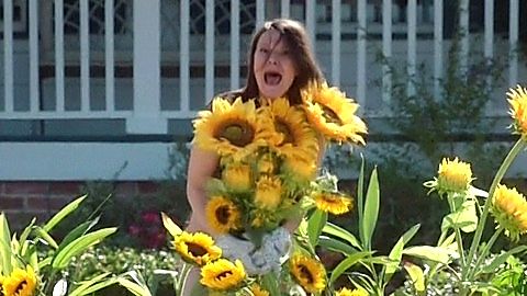 Pic: Maribeth Monroe in The Good Place (2016)